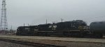 CN A431